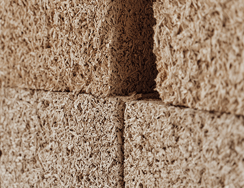 Cânhamor - Newsletter