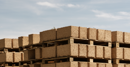 Cânhamor - Preços -Impacto ambiental