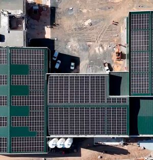 Cânhamor - Fábrica - 100% energia renovável