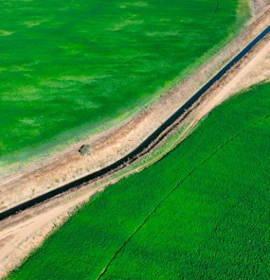 Canhamor - Noticias - Hora de agir