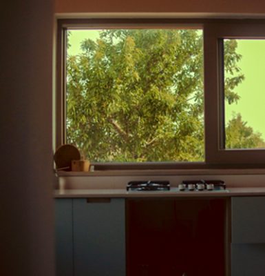 Canhamor - Projetos - Michael 5