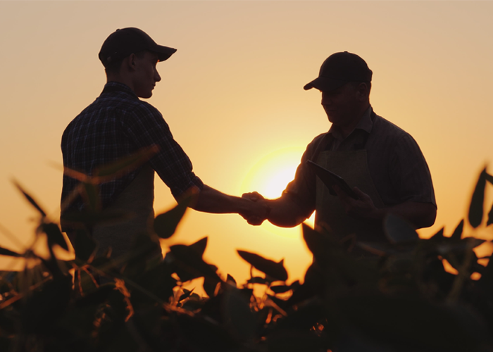 Cânhamor - Agricultura - Não está sozinho nesta viagem