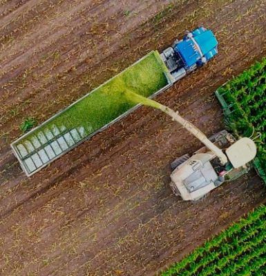 Canhamor - Noticias - Premio BPI Agricultura