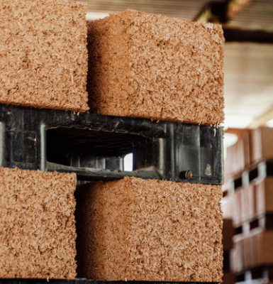 Canhamor - Noticias - RTP