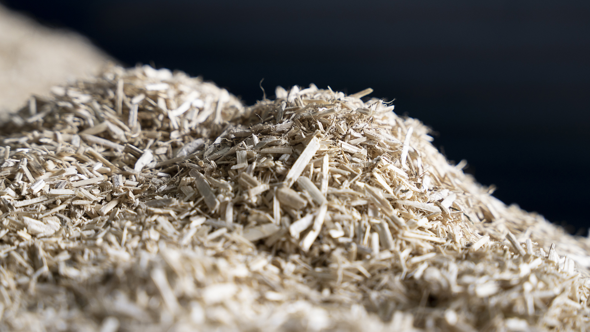 Canhamor - Blog - O milagre do canhamo 2