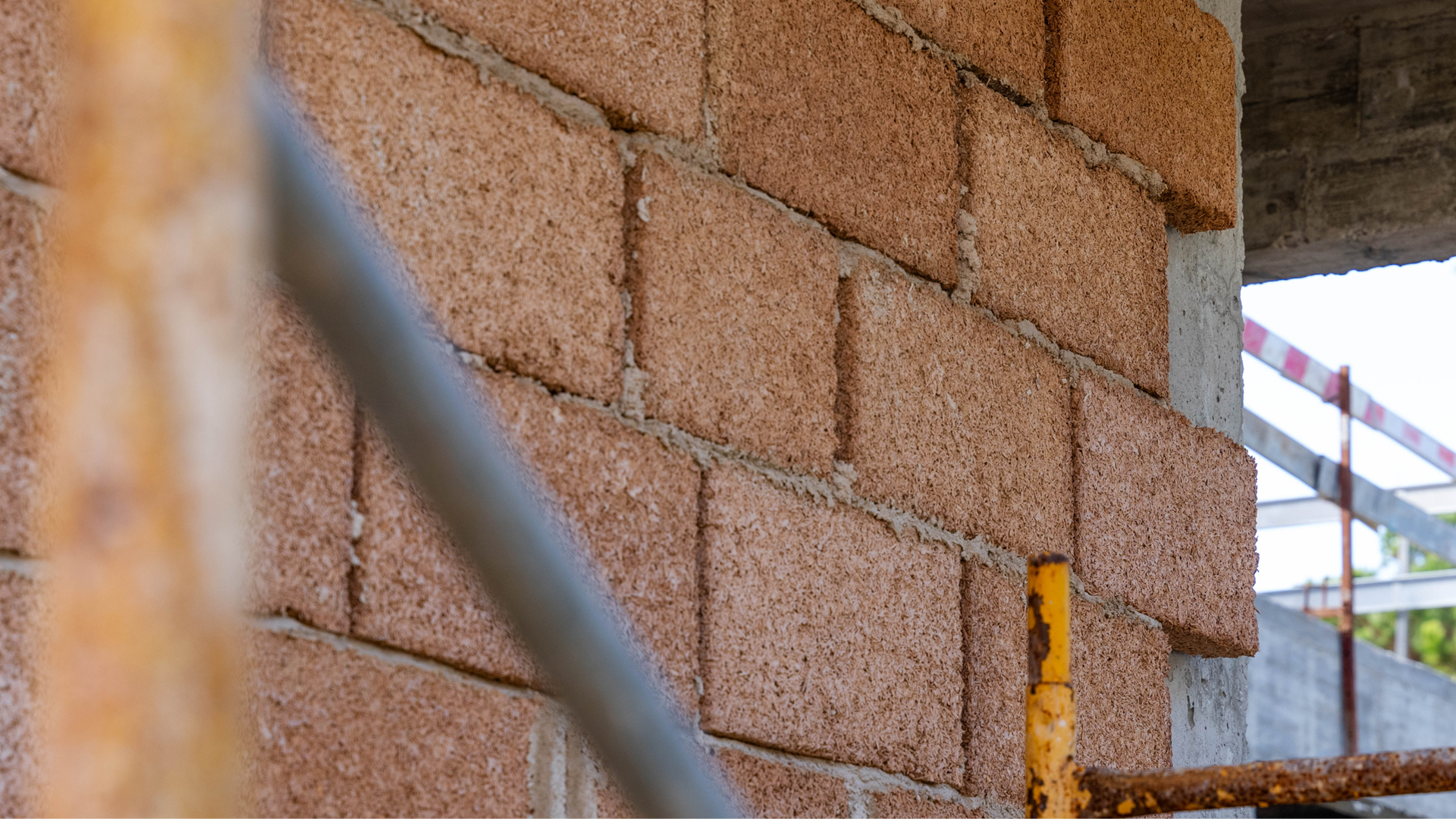 Canhamor - Blog - Plantar cânhamo para a indústria de construção 2